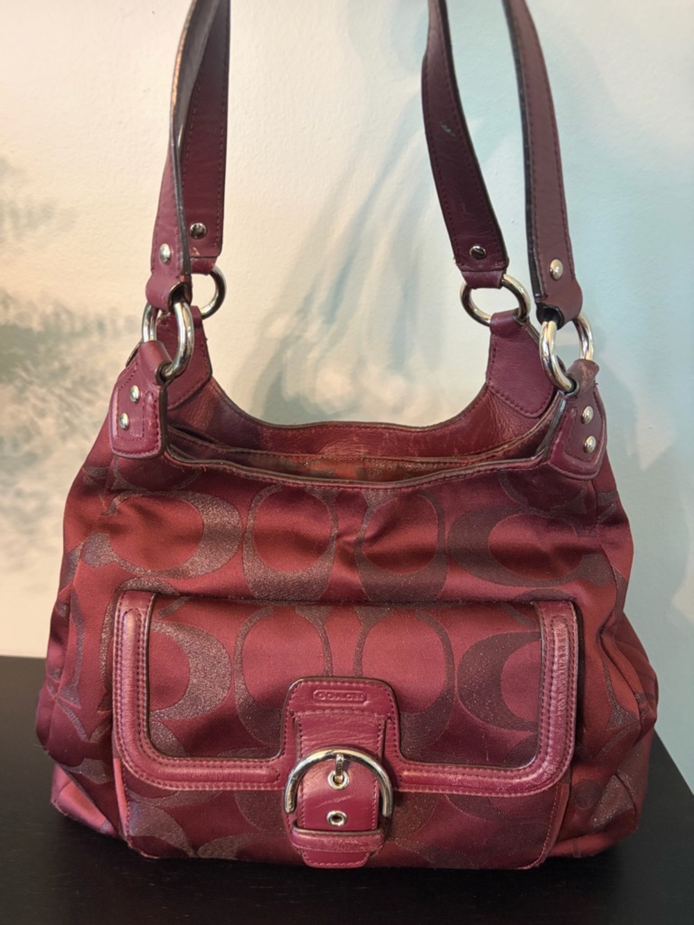 Coach Campbell Signature Hobo Bag - Picture 2 of 12
